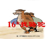 《找骆驼》PPT教学课件下载4-第一PPT