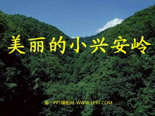 《美丽的小兴安岭》PPT教学课件下载4-第一PPT