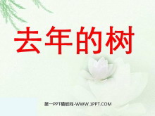 《去年的树》PPT教学课件下载5-第一PPT