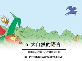《大自然的语言》PPT-第一PPT