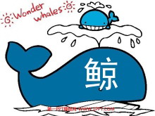 《鲸》PPT课件下载5-第一PPT