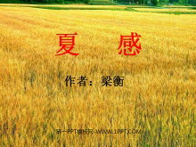 《夏感》PPT课件-第一PPT