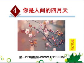 《你是人间的四月天》PPT课件-第一PPT
