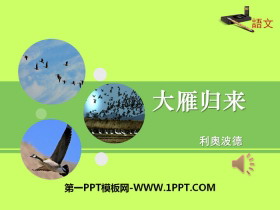 《大雁归来》PPT下载-第一PPT