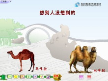 《想别人没想到的》Flash动画课件-第一PPT