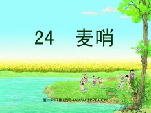 《麦哨》PPT课件-第一PPT