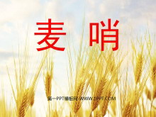 《麦哨》PPT课件3-第一PPT