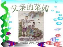 《父亲的菜园》PPT课件-第一PPT