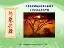 《与象共舞》PPT课件2-第一PPT