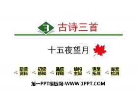 《十五夜望月》古诗三首PPT-第一PPT