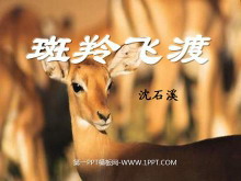《斑羚飞渡》PPT课件3-第一PPT