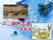 《斑羚飞渡》PPT课件5-第一PPT