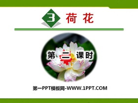 《荷花》PPT(第二课时)-第一PPT
