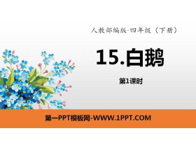《白鹅》PPT(第1课时)-第一PPT