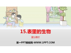 《表里的生物》PPT(第1课时)-第一PPT