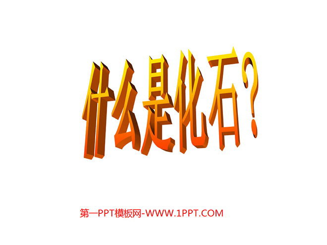 图片[1]-活化石-第一PPT