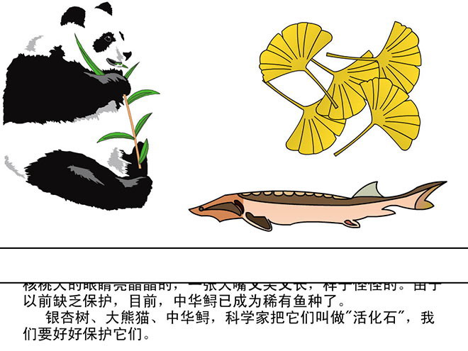 图片[2]-《活化石》Flash动画课件下载-第一PPT