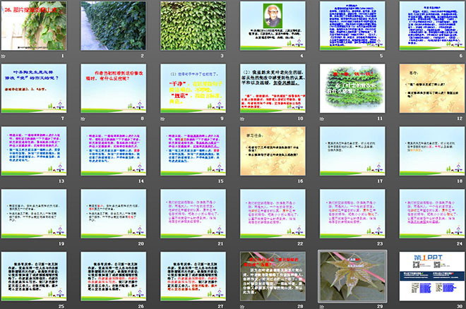 图片[2]-《那片绿绿的爬山虎》PPT课件下载-第一PPT