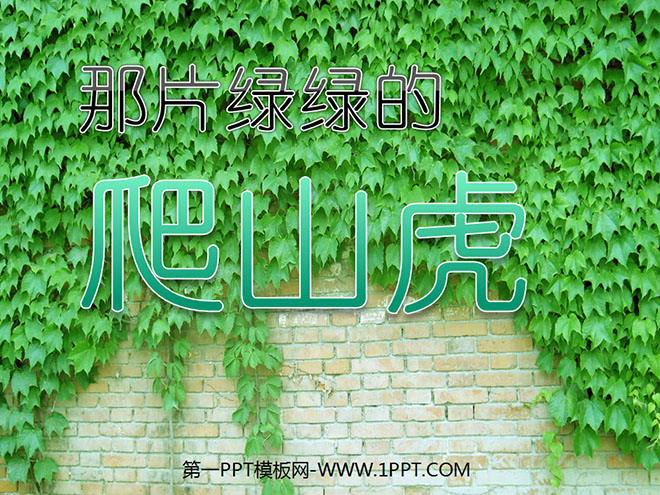图片[1]-《那片绿绿的爬山虎》PPT课件下载3-第一PPT