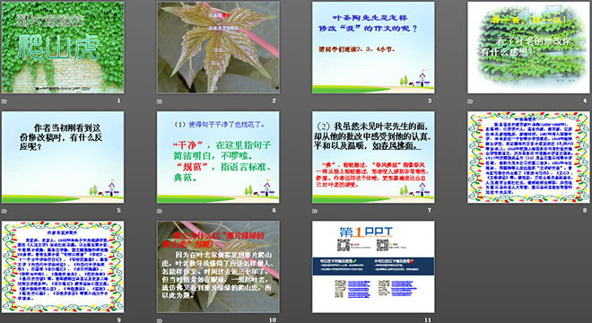 图片[2]-《那片绿绿的爬山虎》PPT课件下载3-第一PPT
