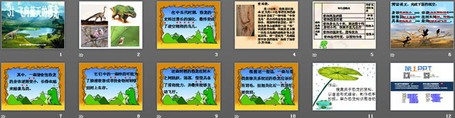 图片[2]-《飞向蓝天的恐龙》PPT课件下载-第一PPT