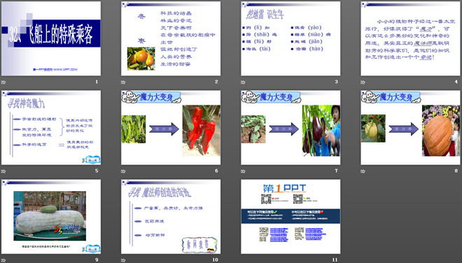 图片[2]-《飞船上的特殊乘客》PPT课件下载2-第一PPT