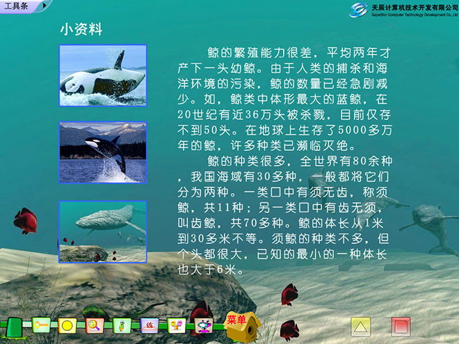 图片[2]-《鲸》Flash动画课件-第一PPT