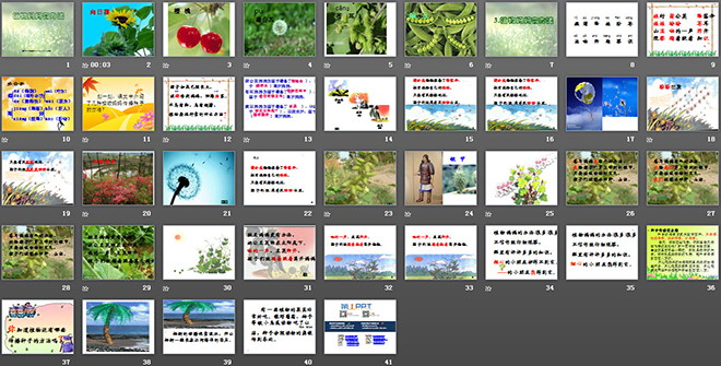图片[2]-《植物妈妈有办法》PPT教学课件下载4-第一PPT