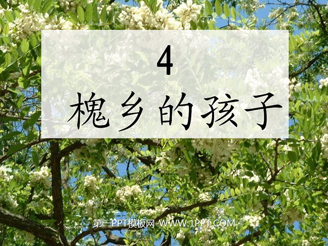 图片[1]-《槐乡的孩子》PPT教学课件下载4-第一PPT