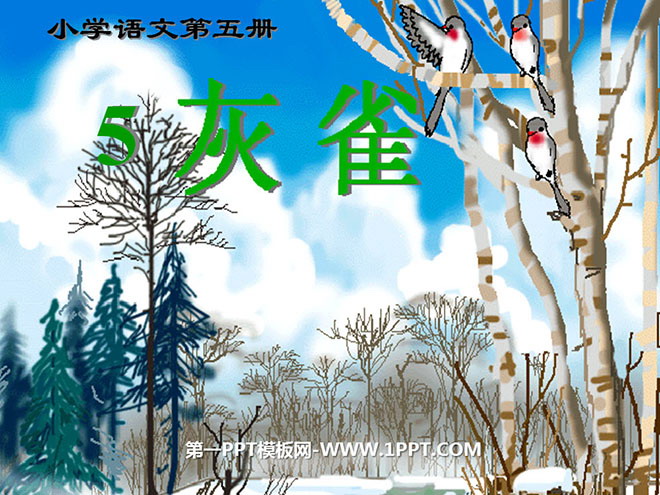 图片[1]-《灰雀》PPT教学课件下载2-第一PPT