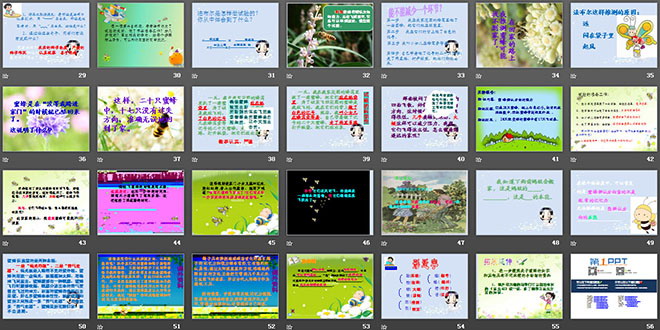 图片[3]-《蜜蜂》PPT教学课件下载4-第一PPT