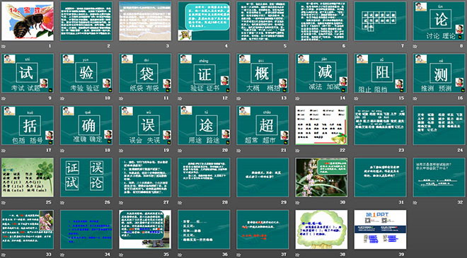 图片[2]-《蜜蜂》PPT教学课件下载6-第一PPT