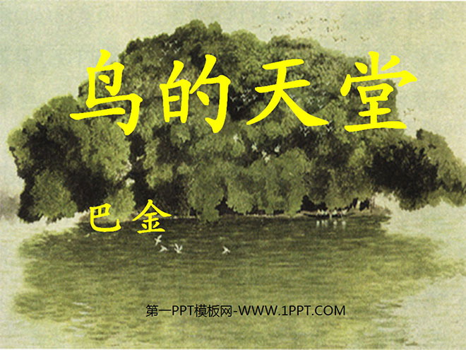 图片[1]-《鸟的天堂》PPT教学课件下载5-第一PPT