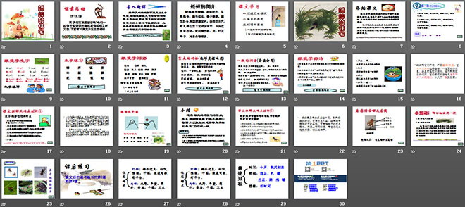 图片[2]-《蟋蟀的住宅》ppt教学课件下载6-第一PPT