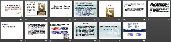 图片[3]-《白鹅》PPT课件下载4-第一PPT