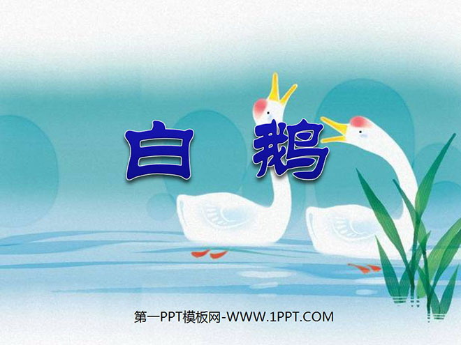 图片[1]-《白鹅》PPT课件下载6-第一PPT