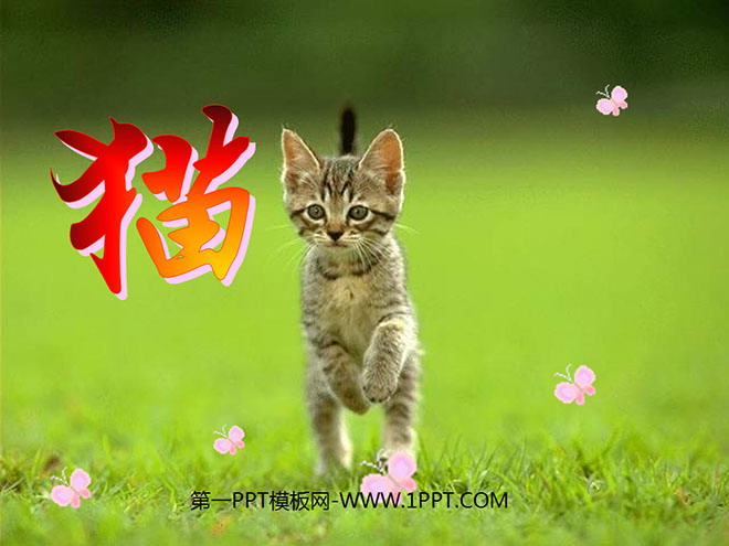 图片[1]-《猫》PPT课件下载4-第一PPT
