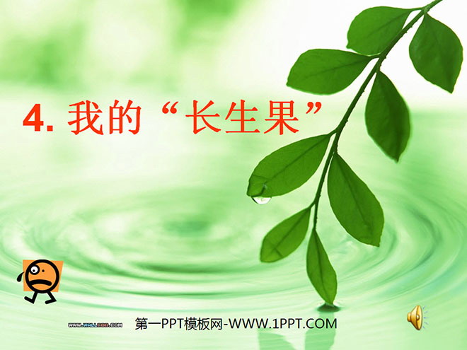图片[1]-《我的“长生果”》PPT课件下载5-第一PPT