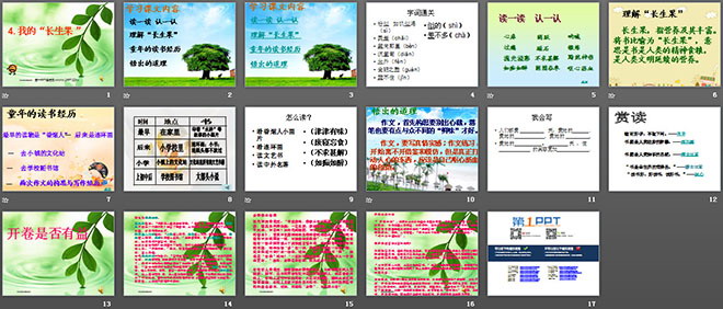 图片[2]-《我的“长生果”》PPT课件下载5-第一PPT