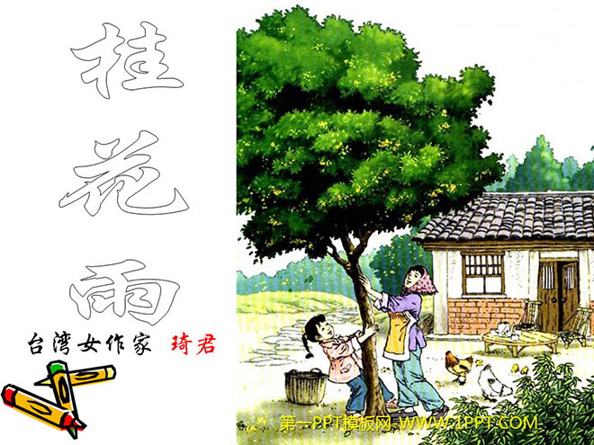 图片[1]-《桂花雨》PPT课件下载5-第一PPT