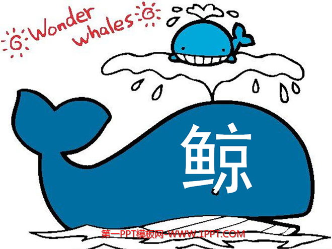 图片[1]-《鲸》PPT课件下载5-第一PPT