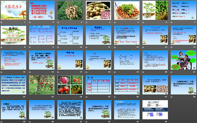 图片[2]-《落花生》PPT课件下载5-第一PPT