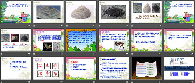 图片[3]-《最大的“书”》PPT课件4-第一PPT