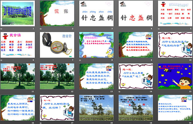 图片[2]-《要是你在野外迷了路》PPT课件4-第一PPT