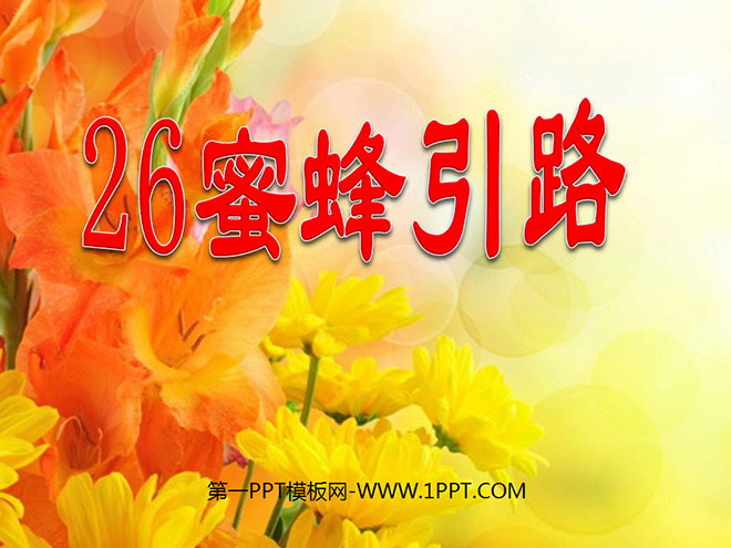 图片[1]-《蜜蜂引路》PPT课件4-第一PPT