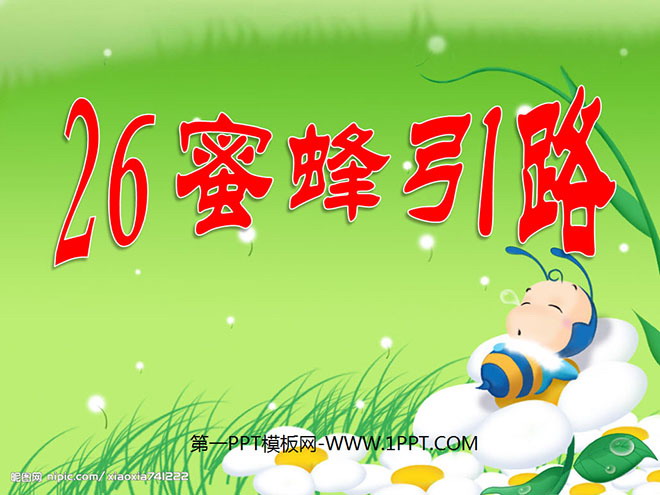 图片[1]-《蜜蜂引路》PPT课件6-第一PPT