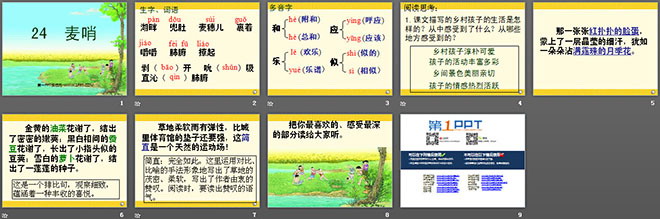 图片[2]-《麦哨》PPT课件-第一PPT