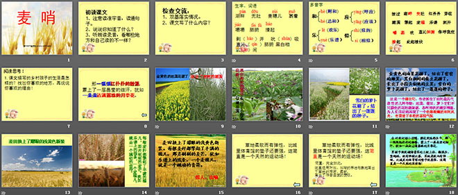 图片[2]-《麦哨》PPT课件3-第一PPT
