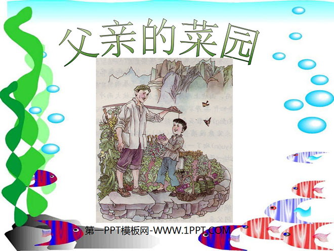 图片[1]-《父亲的菜园》PPT课件-第一PPT