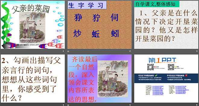 图片[2]-《父亲的菜园》PPT课件-第一PPT